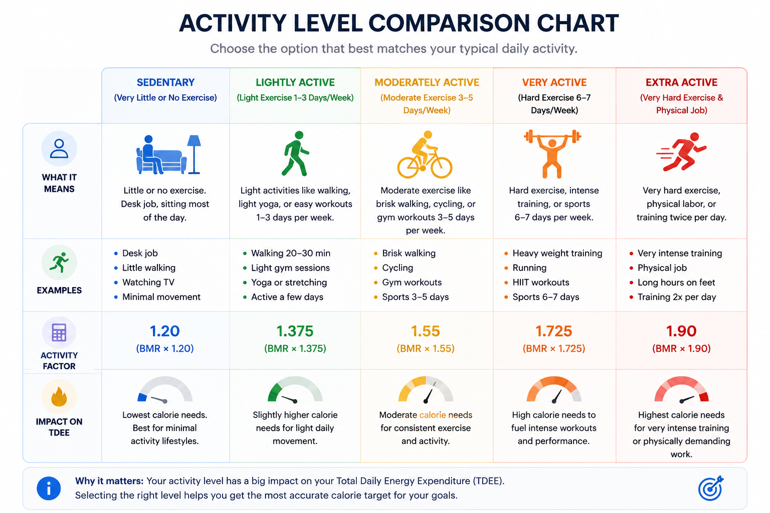 Activity level chart comparing sedentary, light, moderate, heavy, and athlete calorie multipliers.