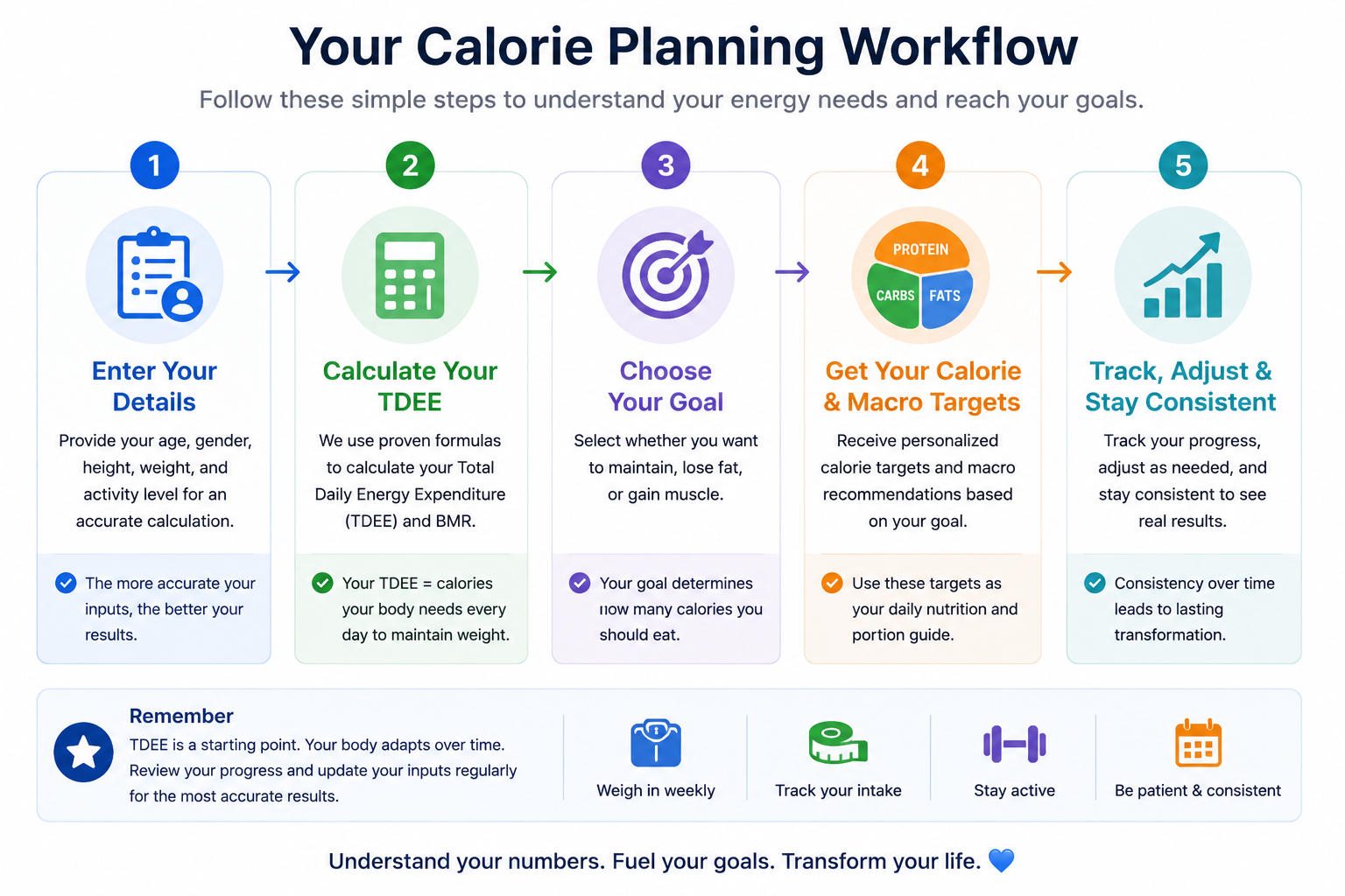 TDEE calculator workflow showing maintenance calories, calorie deficit, and calorie surplus targets.